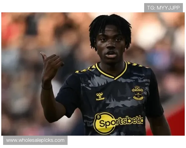 拉塞尔·马丁执教南安普顿本赛季表现稳健 拉塞尔·马丁执教南安普顿本赛季表现稳健