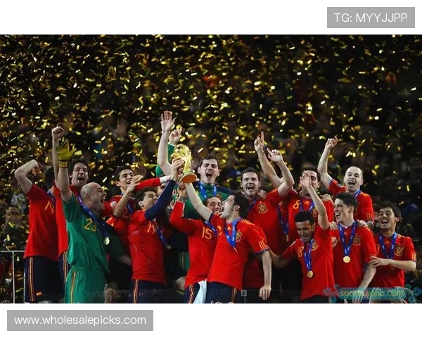 世界杯西班牙2010