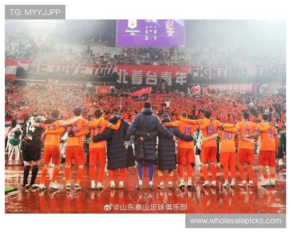 山东泰山阵容老化问题显现,对赛季竞争力形成实际制约